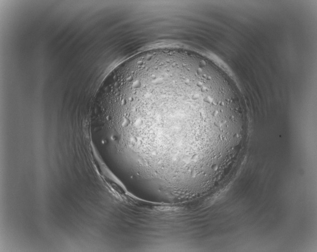 X0000061720953200512161552