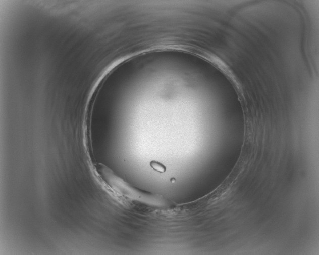 X0000061720955200512161552