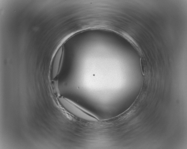 X0000061720956200512161552