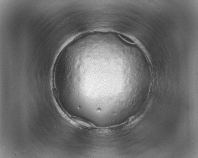 X0000061720957200512161552