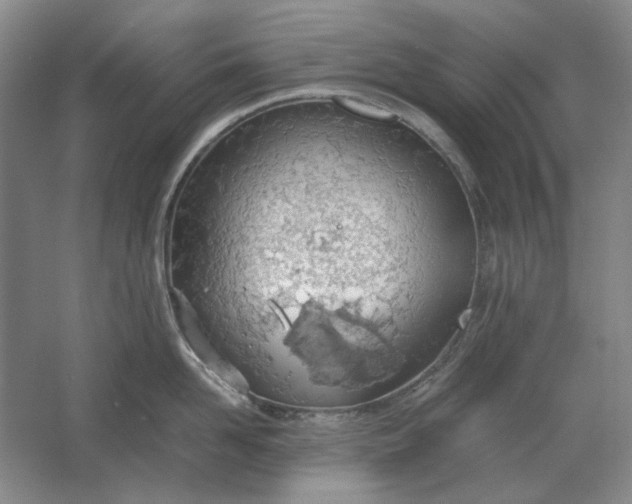 X0000061720958200512161552