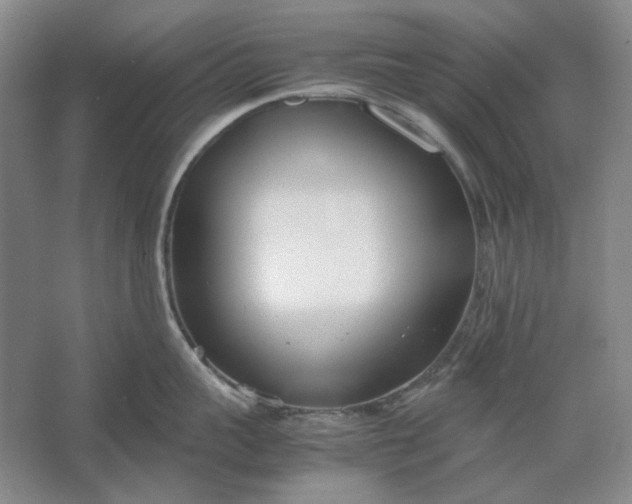 X0000061720959200512161552