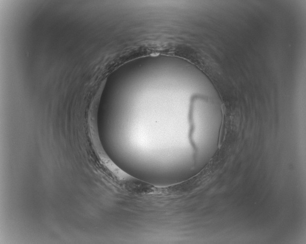 X0000061720961200512161551