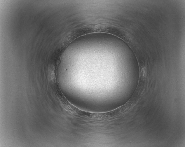 X0000061720963200512161551