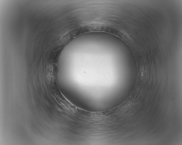 X0000061720964200512161551