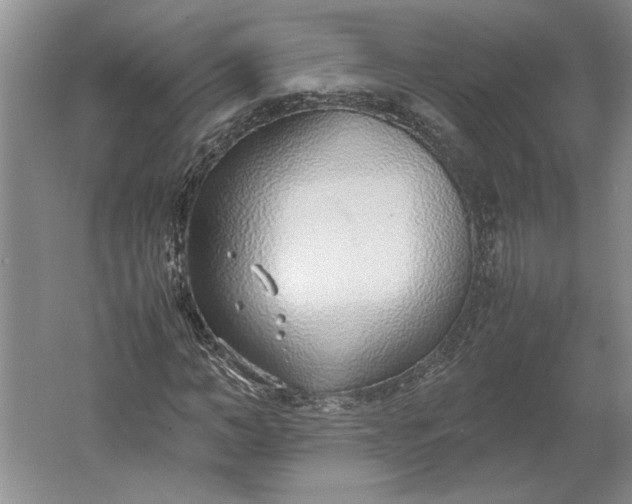 X0000061720966200512161551