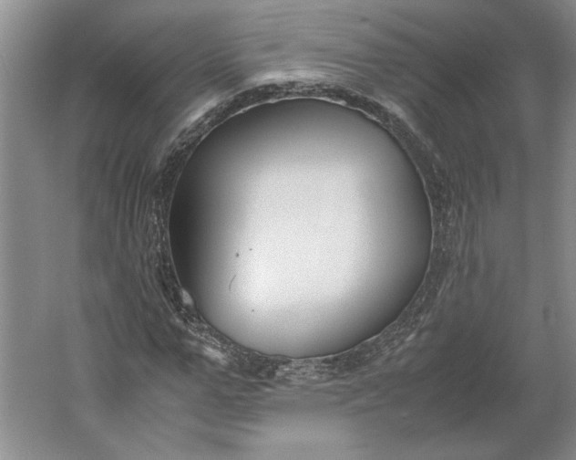 X0000061720967200512161551