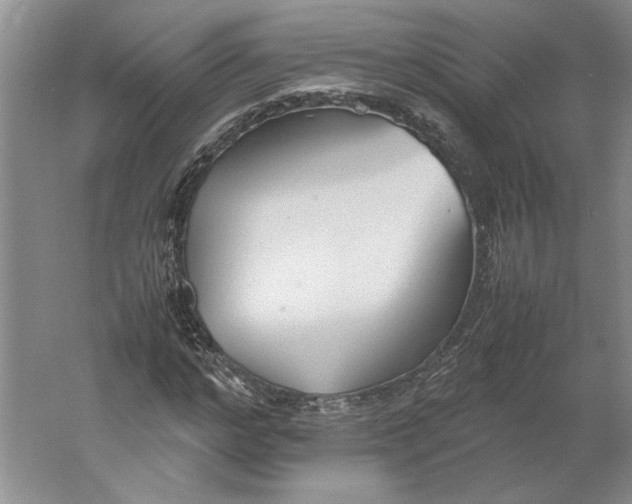 X0000061720968200512161551