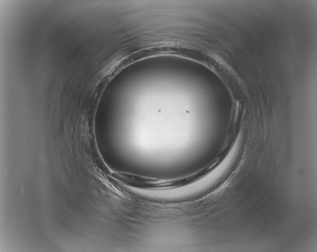 X0000061720969200512161551