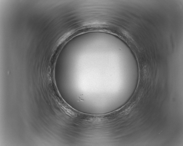 X0000061720970200512161551