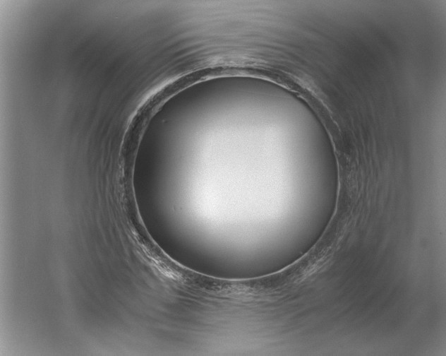 X0000061720971200512161551