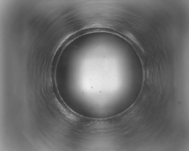 X0000061720972200512161551