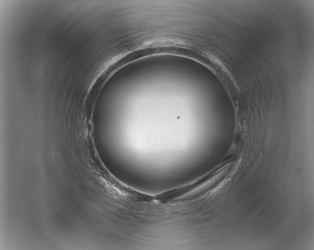 X0000061720973200512161551