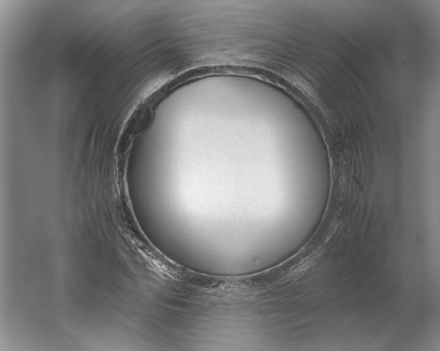 X0000061720974200512161551