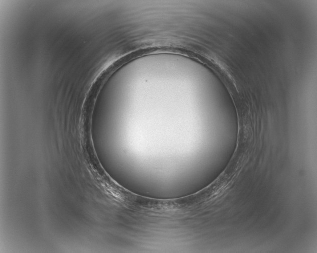 X0000061720975200512161551