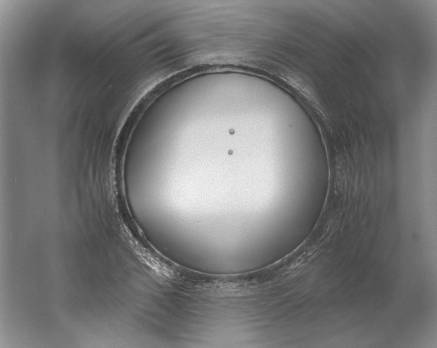 X0000061720976200512161551