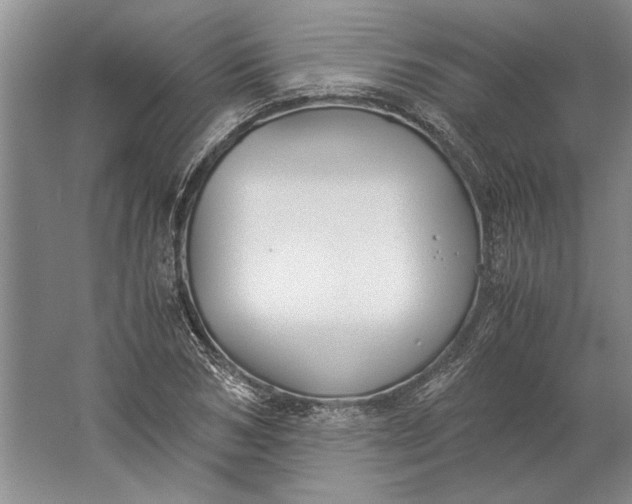 X0000061720978200512161551