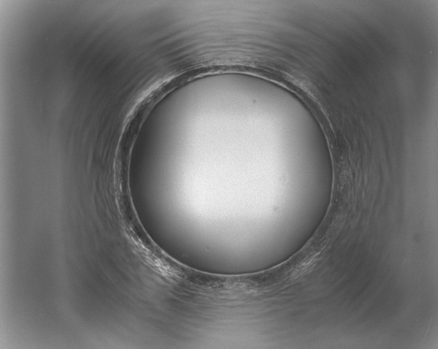 X0000061720979200512161551