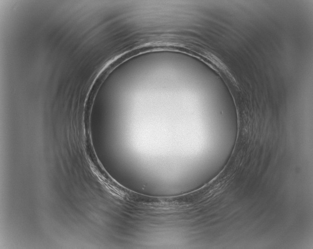 X0000061720980200512161551