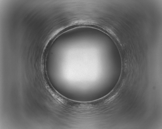 X0000061720981200512161550