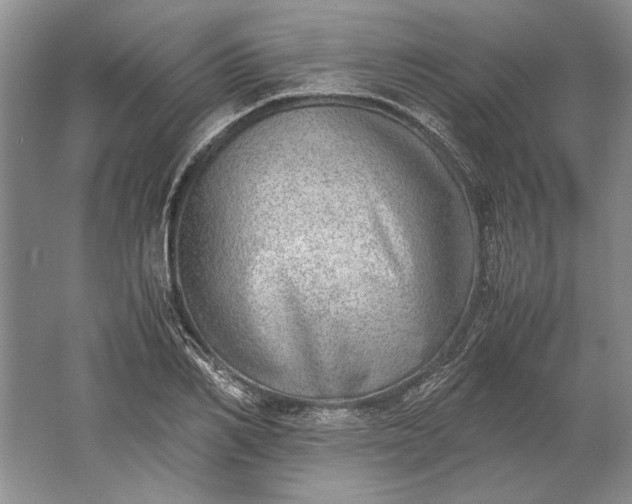 X0000061720982200512161550