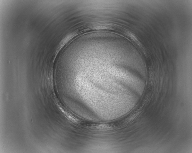 X0000061720986200512161550