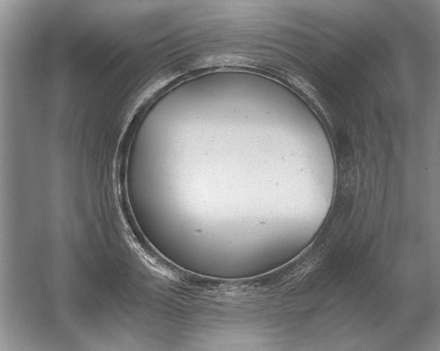 X0000061720987200512161550