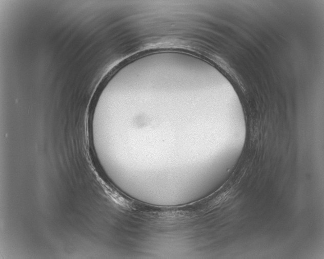 X0000061720988200512161550