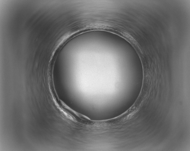 X0000061720989200512161550