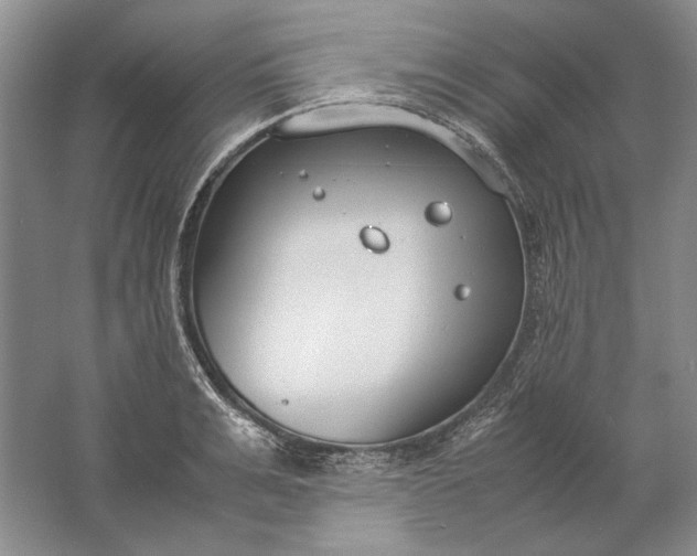 X0000061720991200512161550