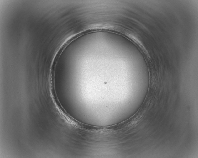 X0000061720992200512161550