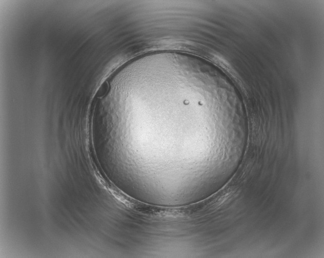 X0000061720994200512161550