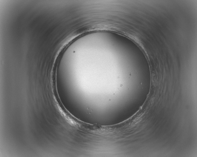 X0000061720995200512161550