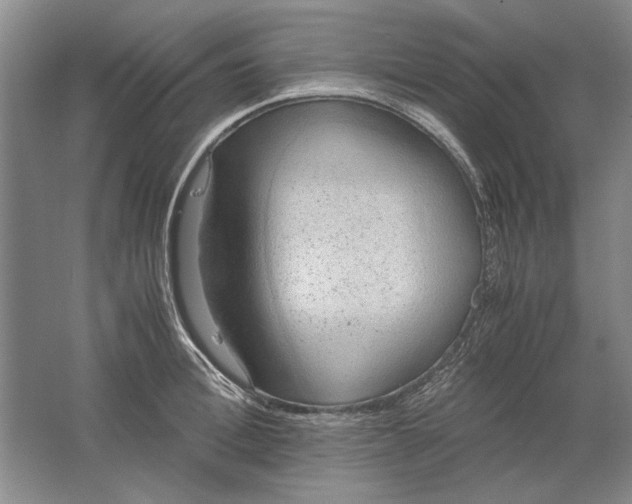 X0000061720996200512161550