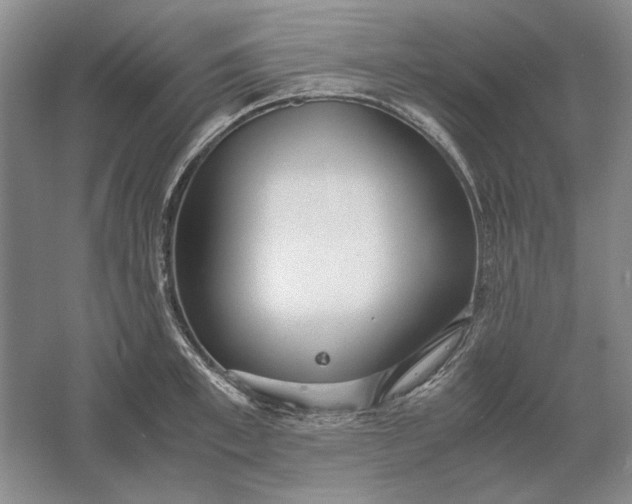 X0000061720997200512161550