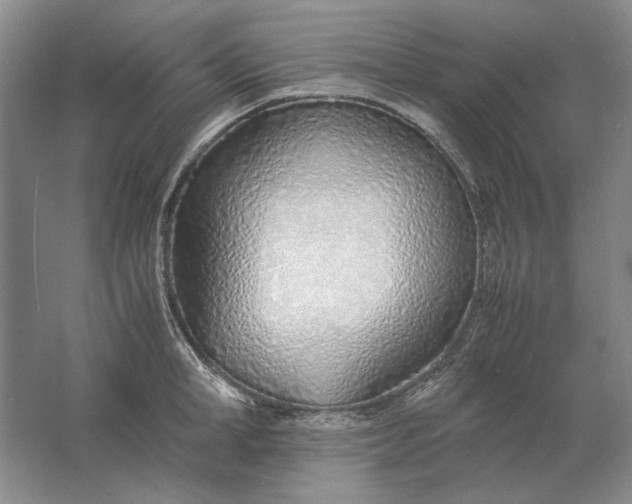 X0000061720998200512161550