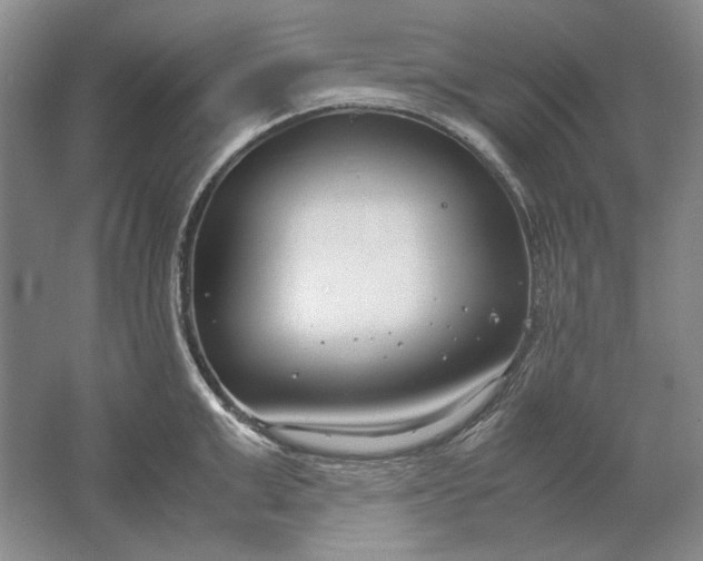 X0000061720999200512161550