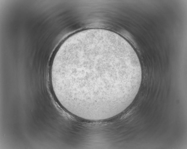 X0000061721000200512161550