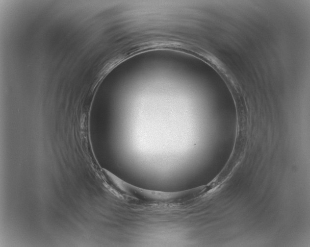 X0000061721001200512161550