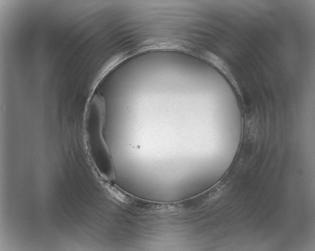 X0000061721002200512161550