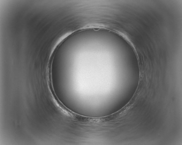 X0000061721003200512161550