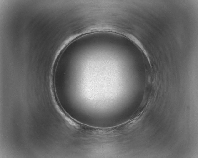 X0000061721005200512161550