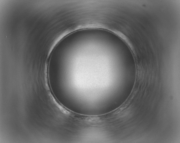 X0000061721006200512161550