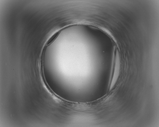 X0000061721007200512161550