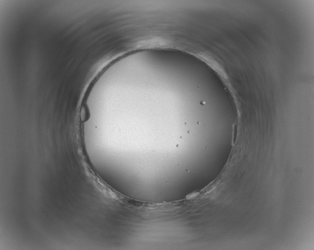 X0000061721008200512161550