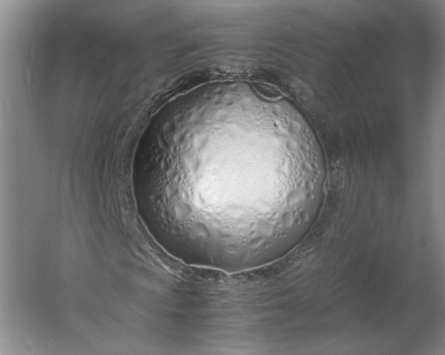 X0000061721009200512161549