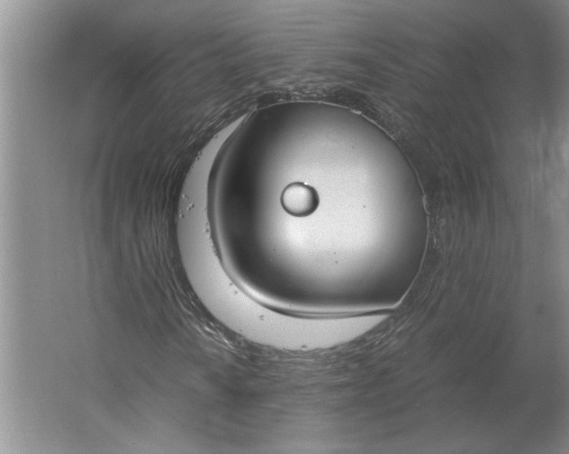 X0000061721010200512161549