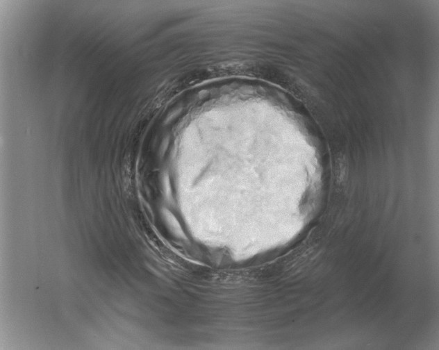 X0000061721011200512161549