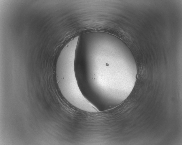 X0000061721012200512161549