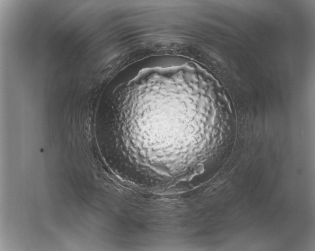 X0000061721013200512161549